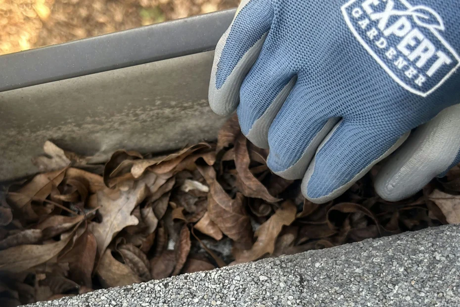 Plandome Heights Gutter Cleaning